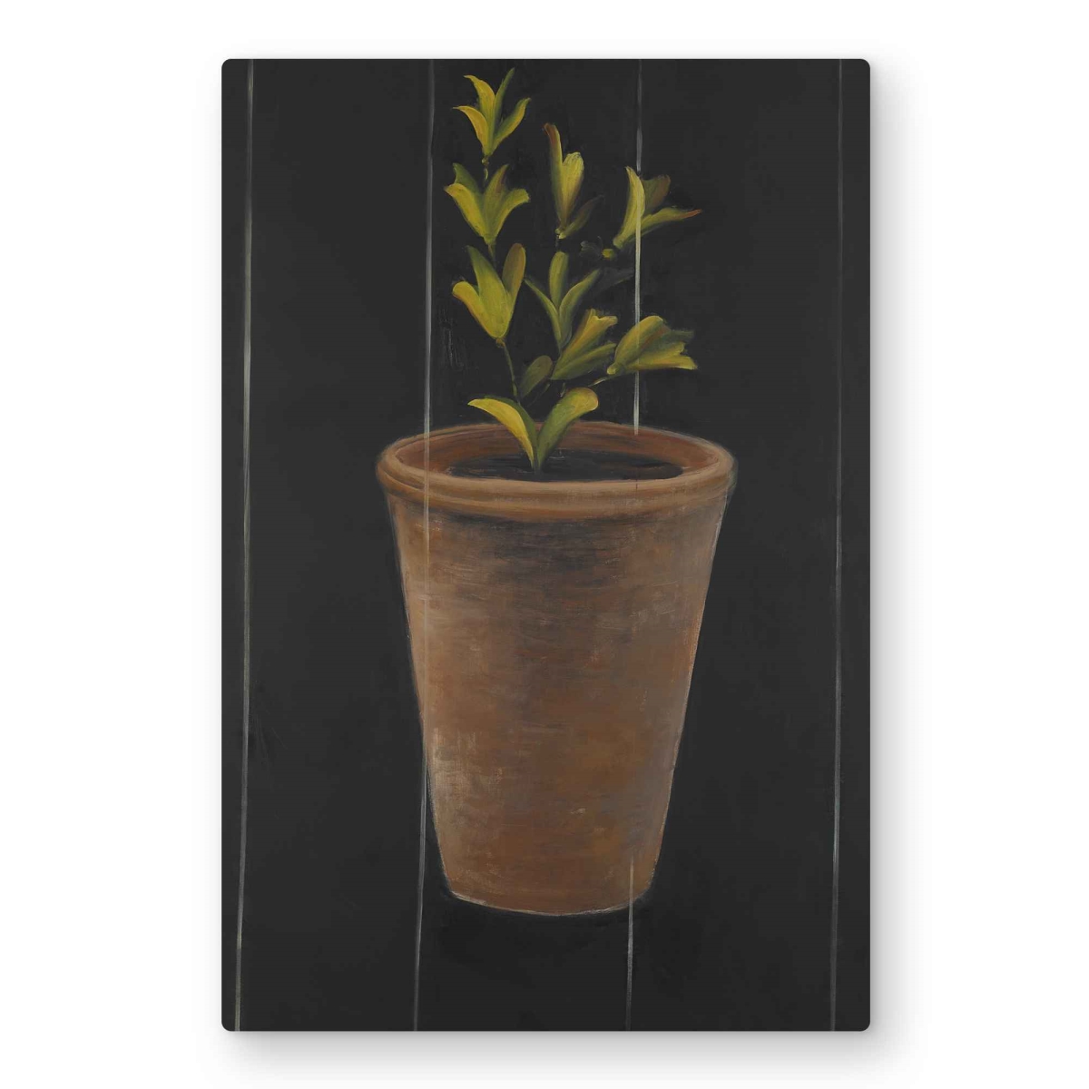 C1MP2030KDJ9NN 20 x 30 in. Plant of Marjolaine - Kitchen Floral Metal Print Wall Art - Decor