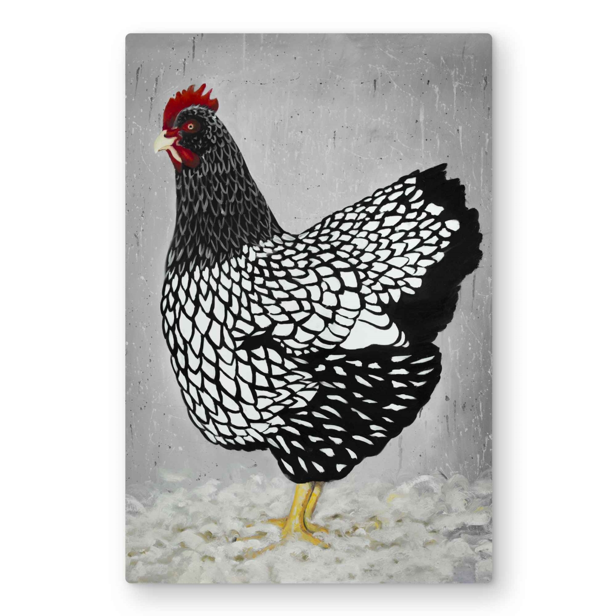 C1MP2030KTR9XH 20 x 30 in. Black & White Wyandotte Hen Wall Art - Rustic Metal Bird Print