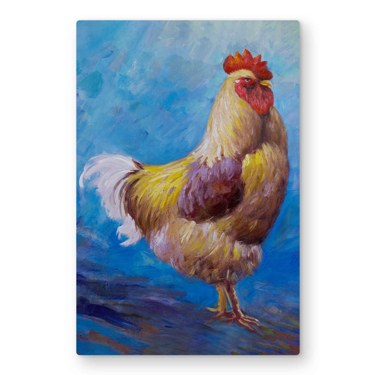 C1MP2030L8JXZL 20 x 30 in. Beautiful Rooster Wall Art - Farm Animals Kitchen Metal Print Decor