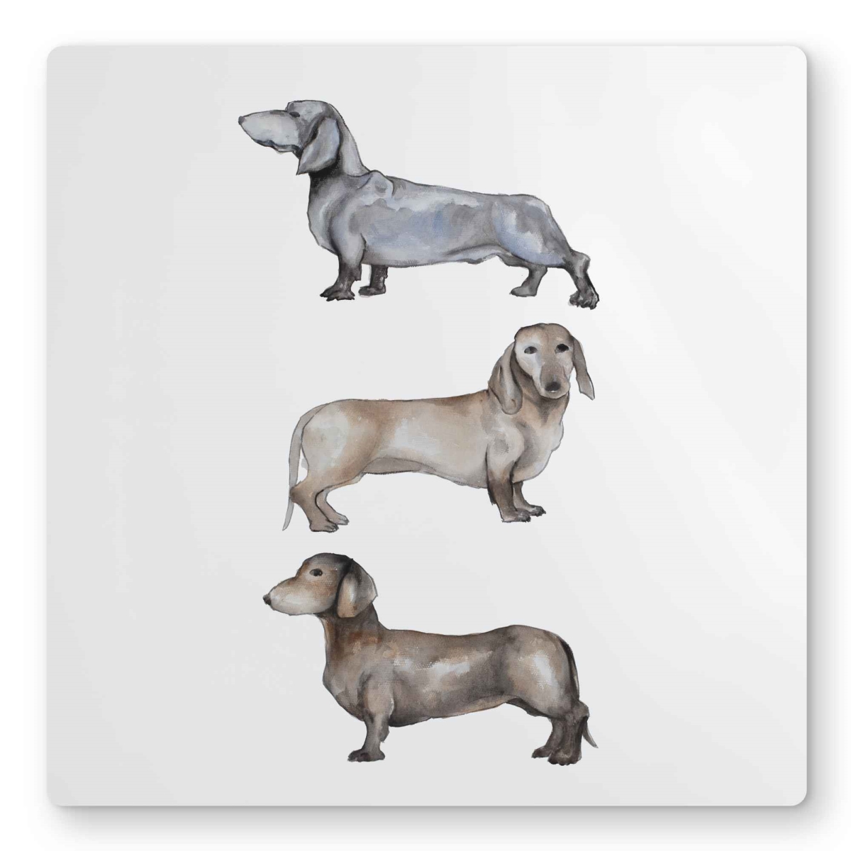 C1MP16164R88X8 16 x 16 in. Small Dachshund Dog Metal Print Wall Art - Animals Bedroom Decor