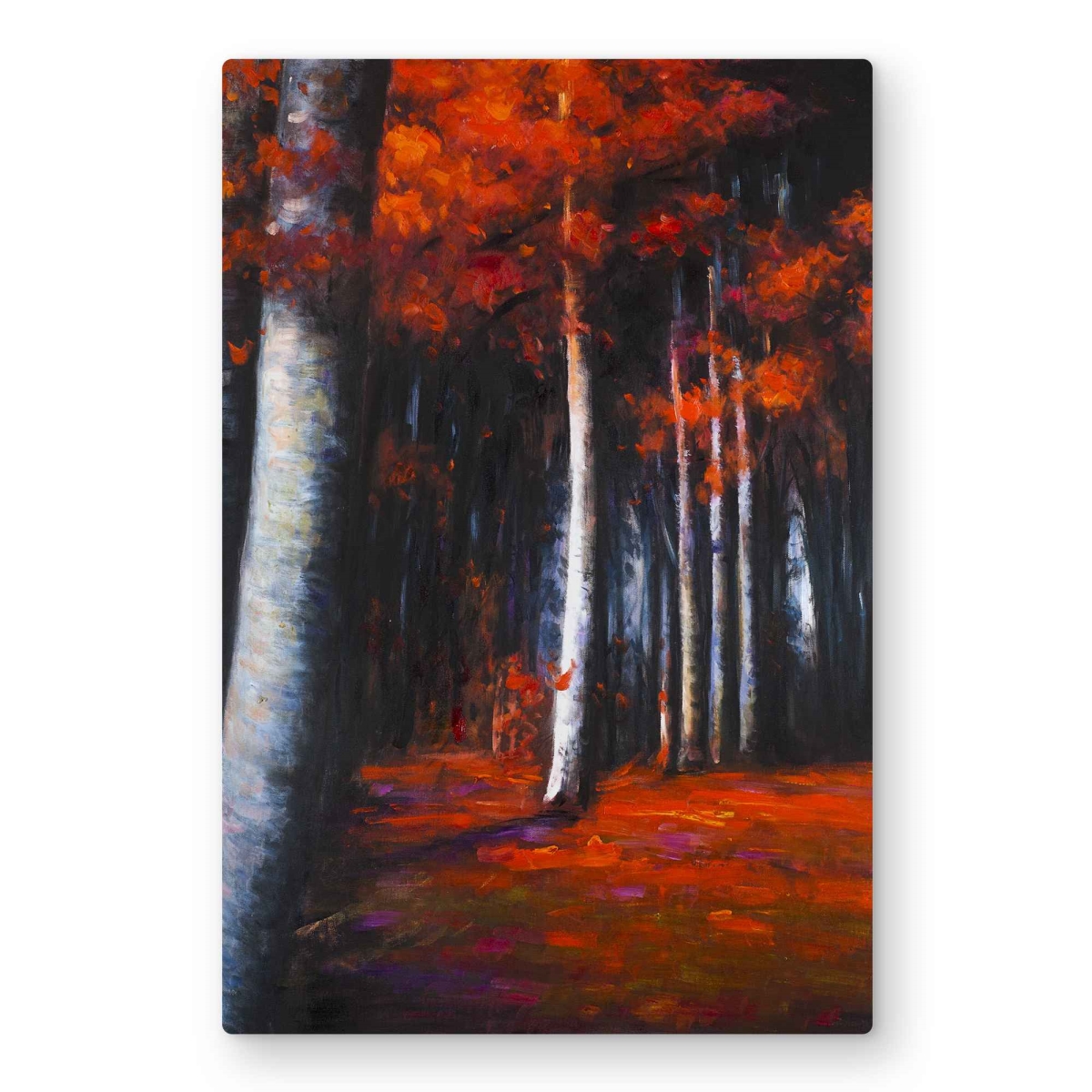 C1MP2030QCP727 20 x 30 in. Mysterious Forest Wall Art - Landscapes Trees Metal Print