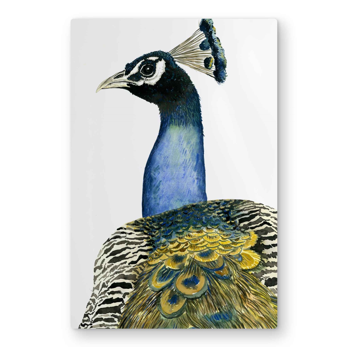 C1MP2030VQI2EK 20 x 30 in. Watercolor Peacock Metal Print Wall Art - Animals Feathers Home Decor