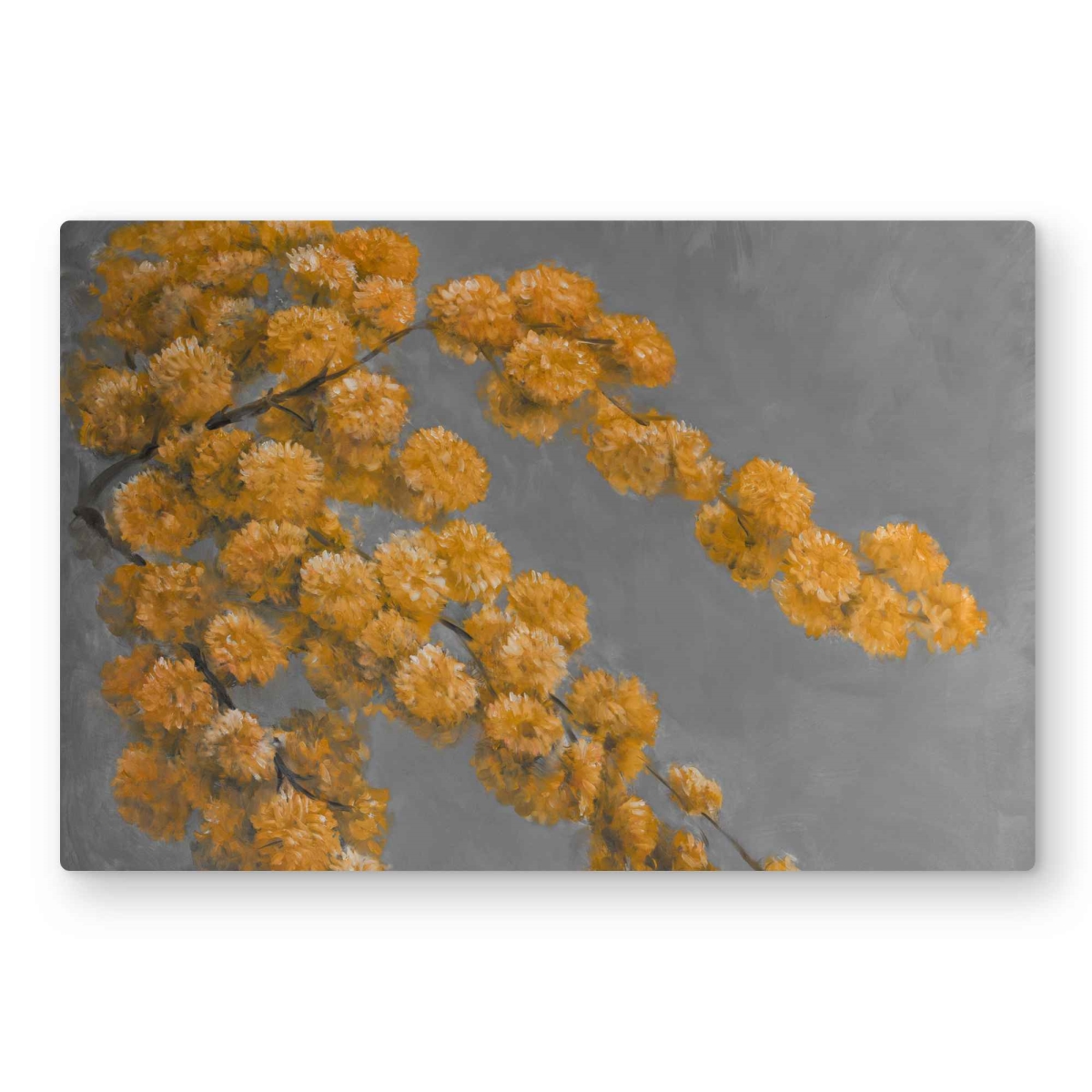 C1MP20300BAXE8 20 x 30 in. Golden Wattle Plant - Yellow Contemporary Metal Print Wall Art