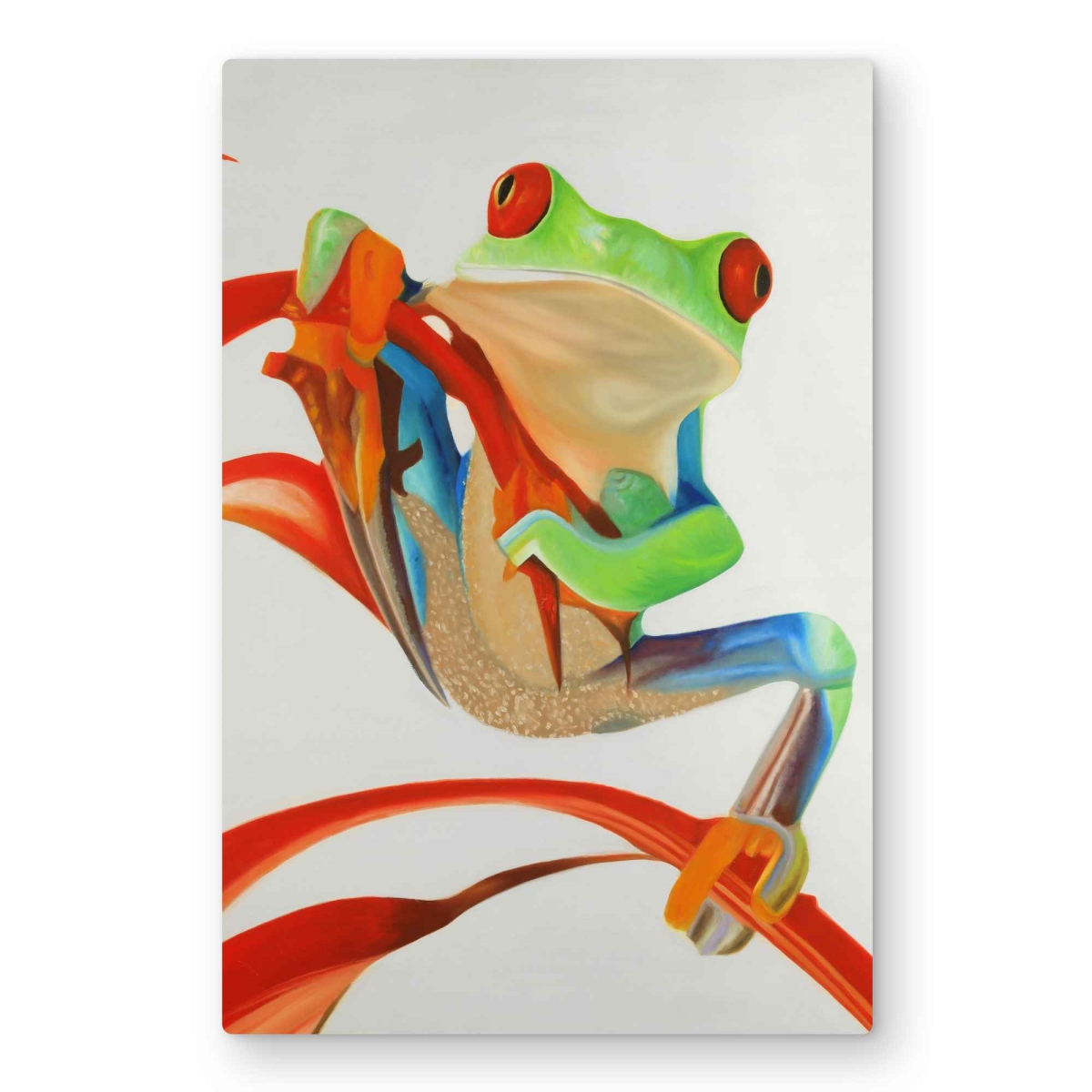 C1MP203037SLHS 20 x 30 in. Red-Eyed Frog Metal Print Wall Art - Unique Reptile Home Decor