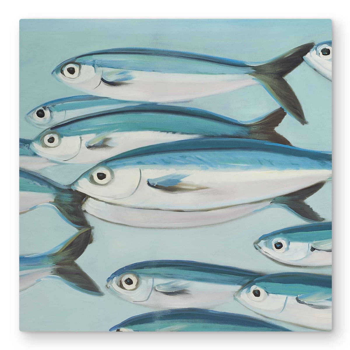 C1MP32327SOSCC 32 x 32 in. Small Fish of Caesious Caerulaurea Wall Art - White Bathroom Metal Print