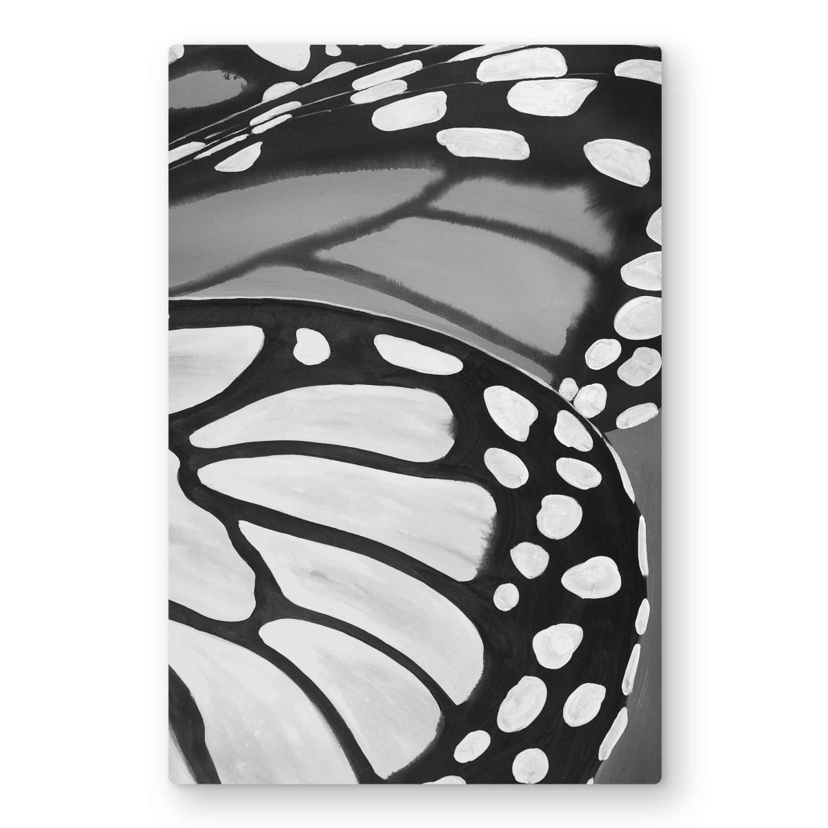 C1MP2030MMG93Y 20 x 30 in. Butterfly Wings Closeup Wall Art - Insect Bedroom Metal Print Decor