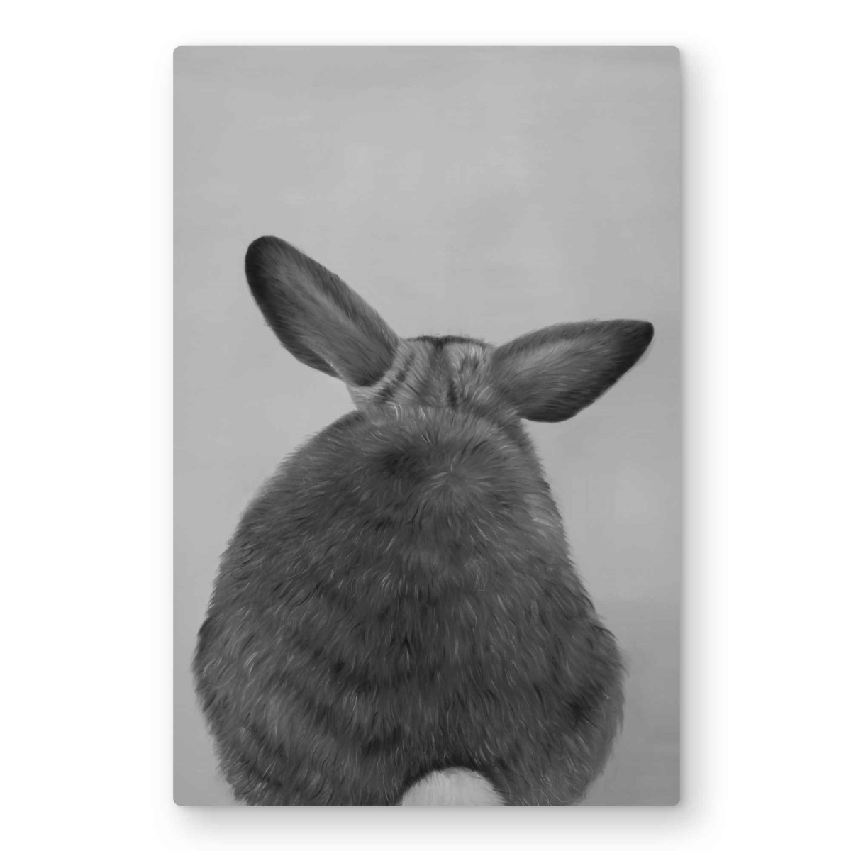 C1MP2030N2GBXZ 20 x 30 in. Little Rabbit From Behind Wall Art - Monochrome Livingroom Metal Print