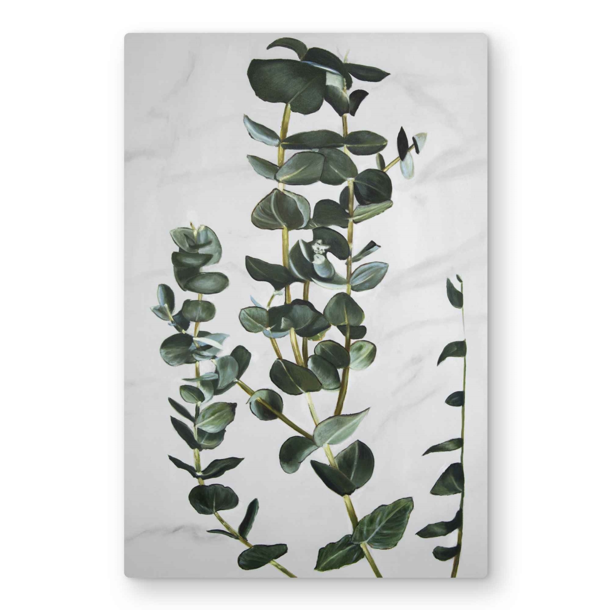 C1MP2030TRND35 20 x 30 in. Eucalyptus Stems Wall Art - Botanical Minimalist Metal Print Decor