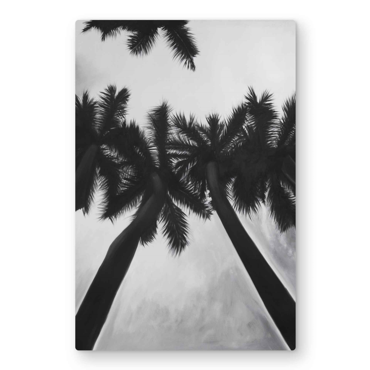 C1MP2030TIKK5S 20 x 30 in. Monochrome Palm Trees Wall Art - Bathroom Trees Metal Print Decor