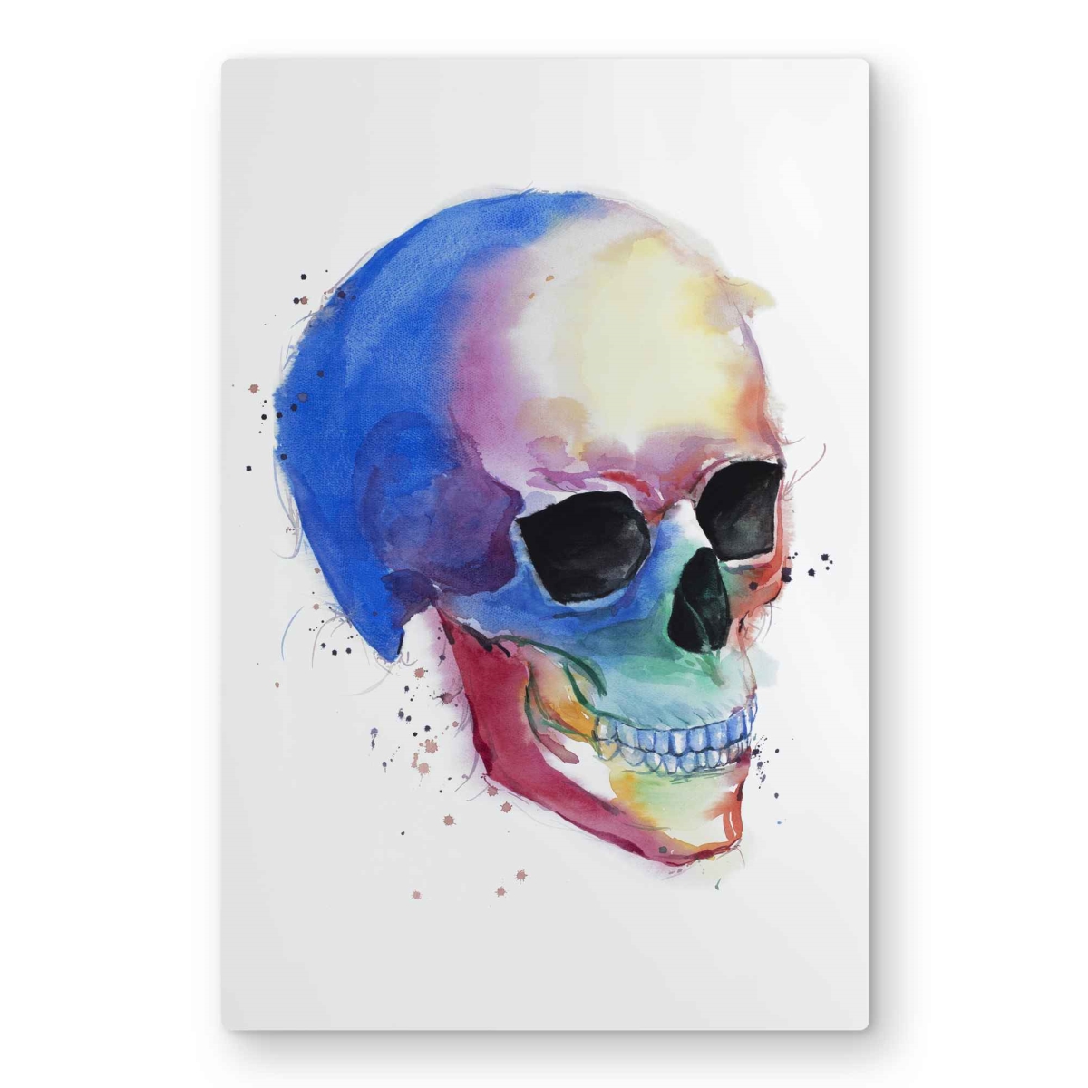 C1MP2030TZM40M 20 x 30 in. Watercolor Colorful Skull Profile - Modern Metal Print Wall Art