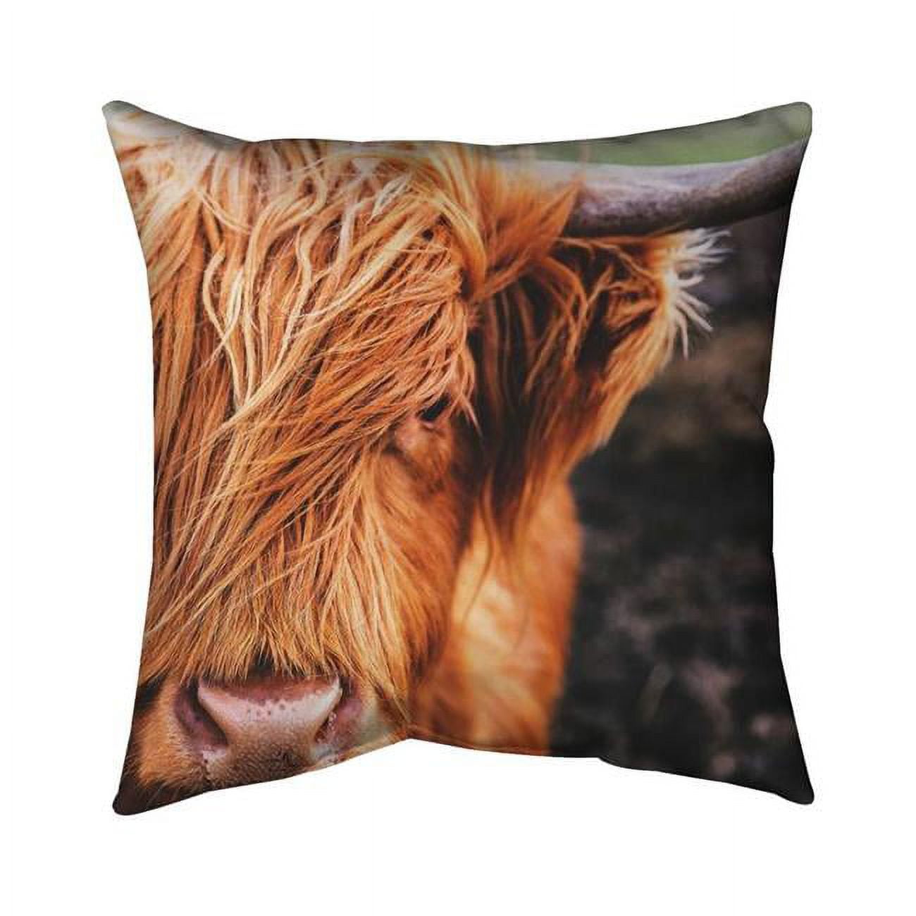 18 x 18 in. Portrait Highland Cow-Double Sided Print Indoor Pillow