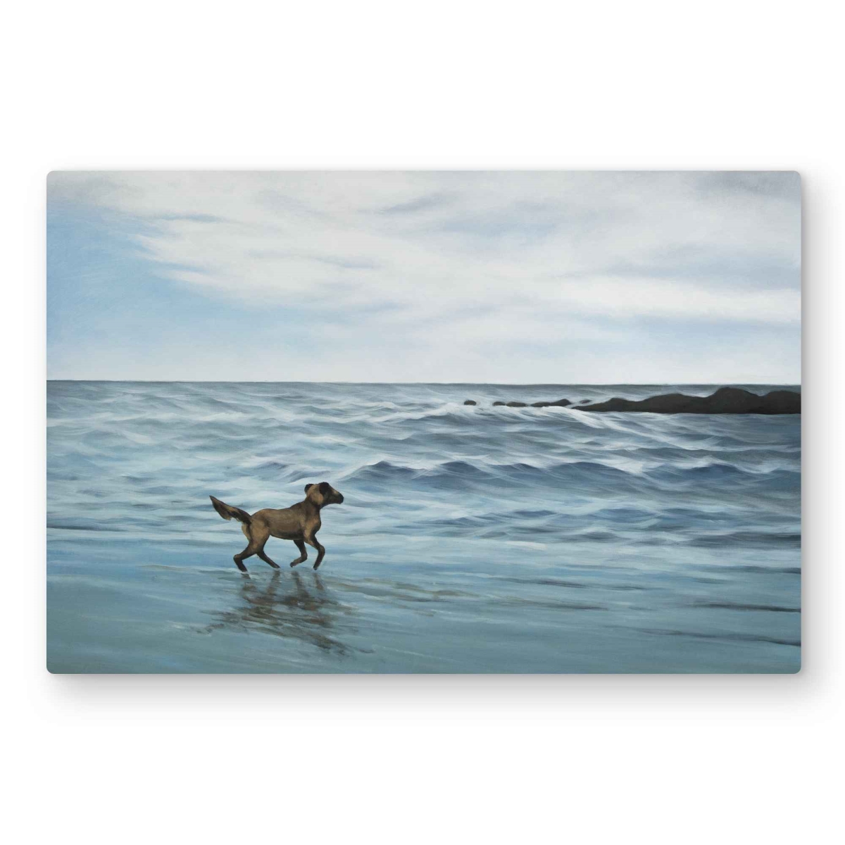 C1MP2030ZGP6JO 20 x 30 in. Dog on the Beach - Coastal Metal Print Wall Art for Bathroom Decor
