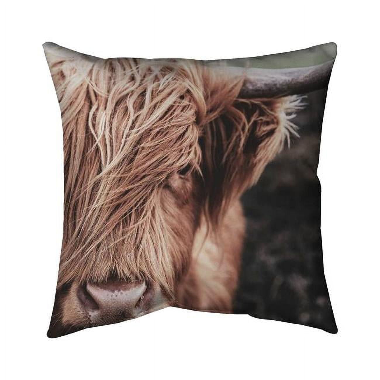 18 x 18 in. Desaturated Highland Cow-Double Sided Print Indoor Pillow