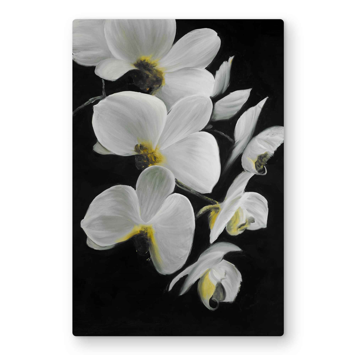 C1MP2436FKEA25 24 x 36 in. Beautiful Orchids - Floral Black Metal Print Wall Art for Home Decor