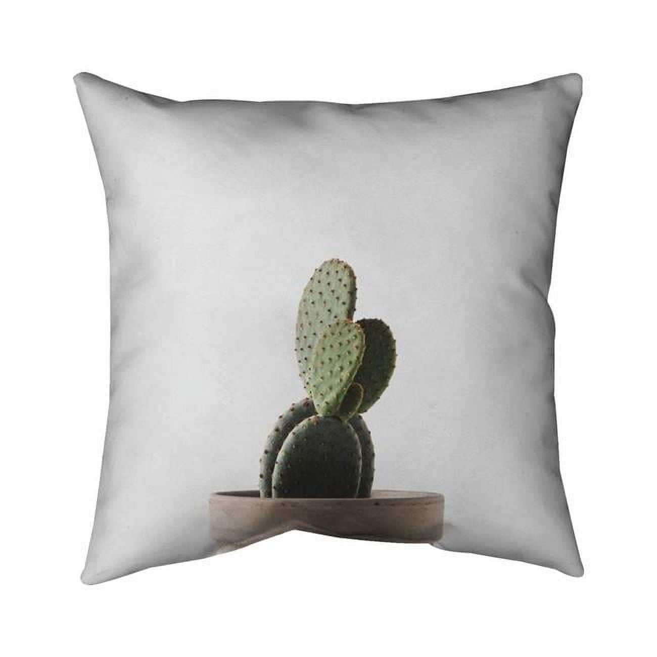 18 x 18 in. Potted Cactus-Double Sided Print Indoor Pillow