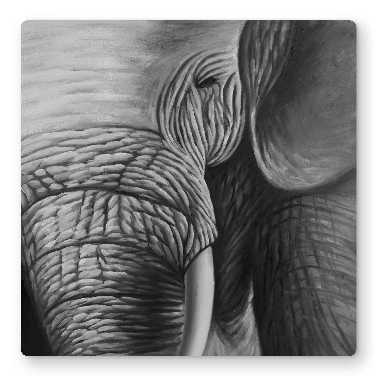 C1MP1616XUFJHW 16 x 16 in. Elephant Metal Print Wall Art - Unique Home Decor for Animal Lovers