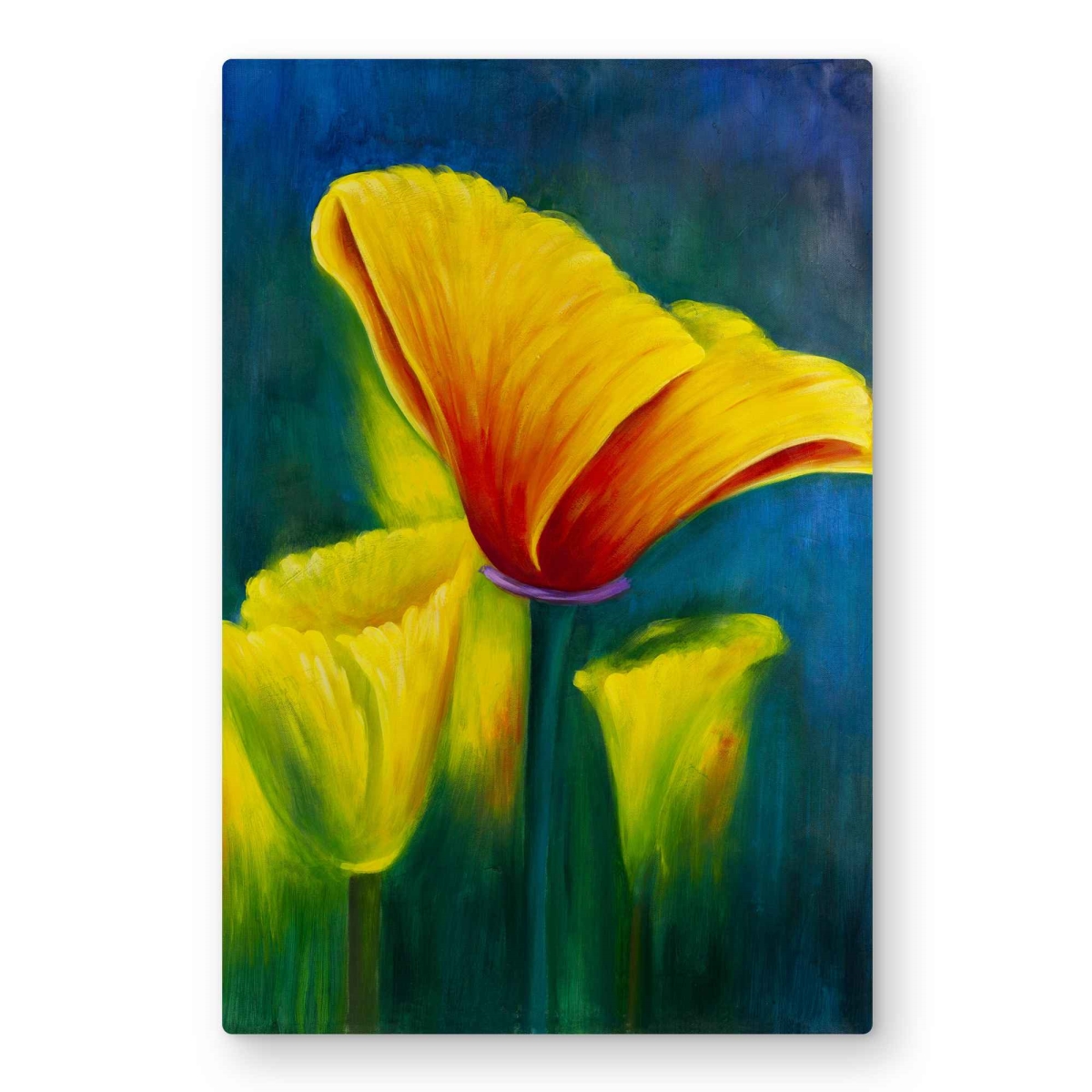 C1MP20309AESB1 20 x 30 in. Beautiful Colorful Flowers Wall Art - Contemporary Floral Metal Print