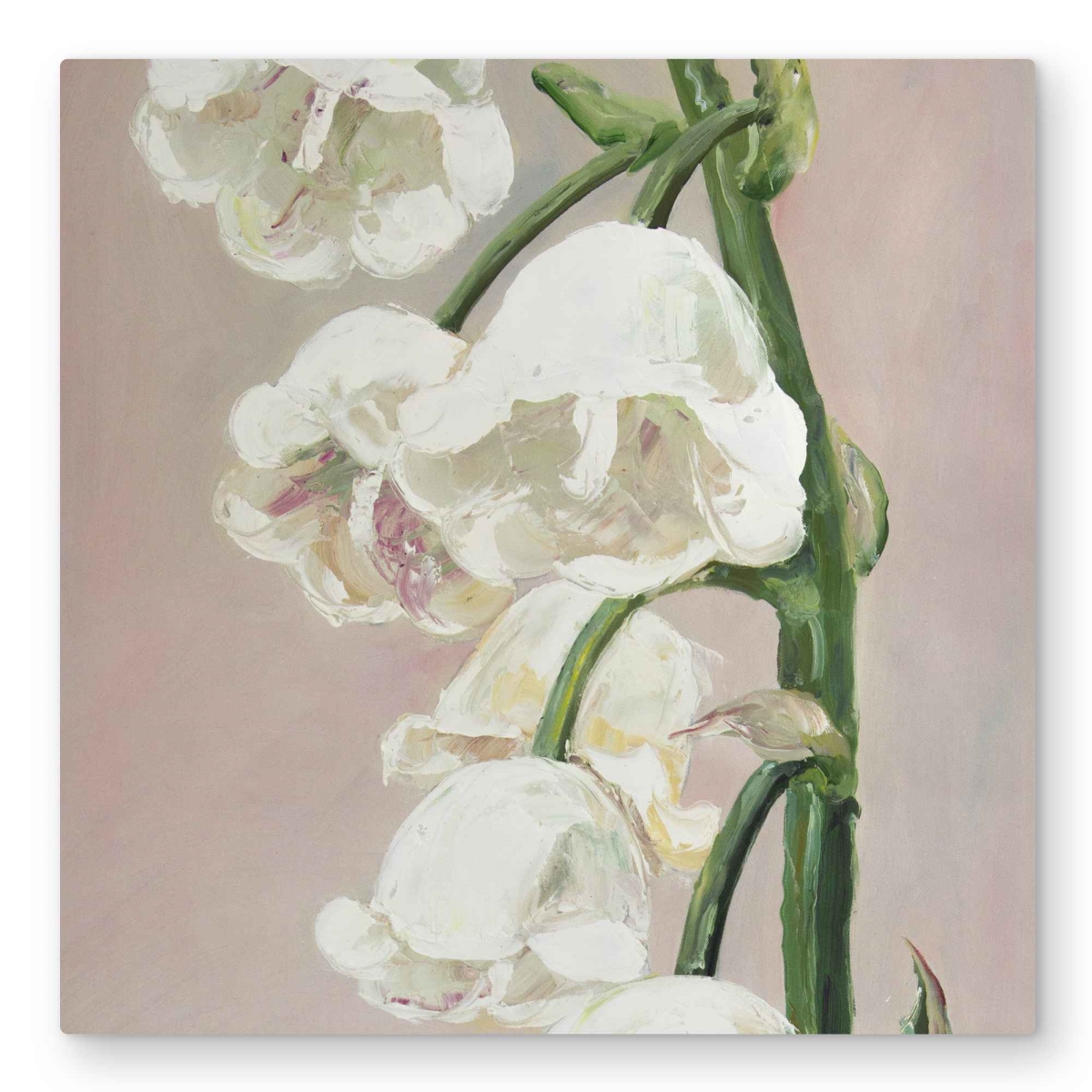 C1MP32323A5ALC 32 x 32 in. Lily of the Valley Flowers Wall Art - White Botanical Metal Print