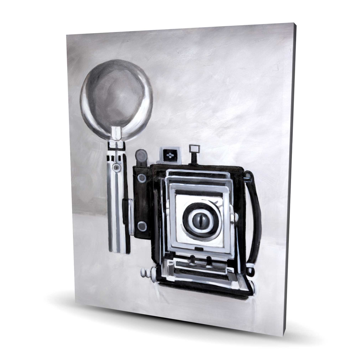 C1RC4860F40GUY 48 x 60 in. Antique Camera Canvas - Unique Man Cave Home Decor Piece