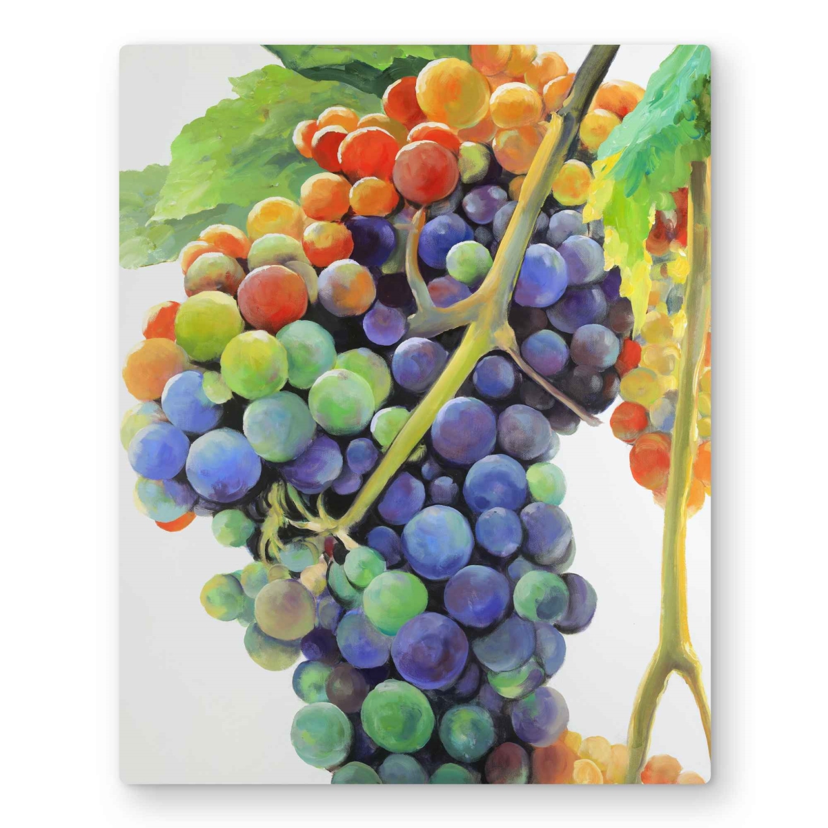 C1MP16207E010L 16 x 20 in. Colorful Bunch of Grapes Wall Art - Illustrative Still Life Metal Print