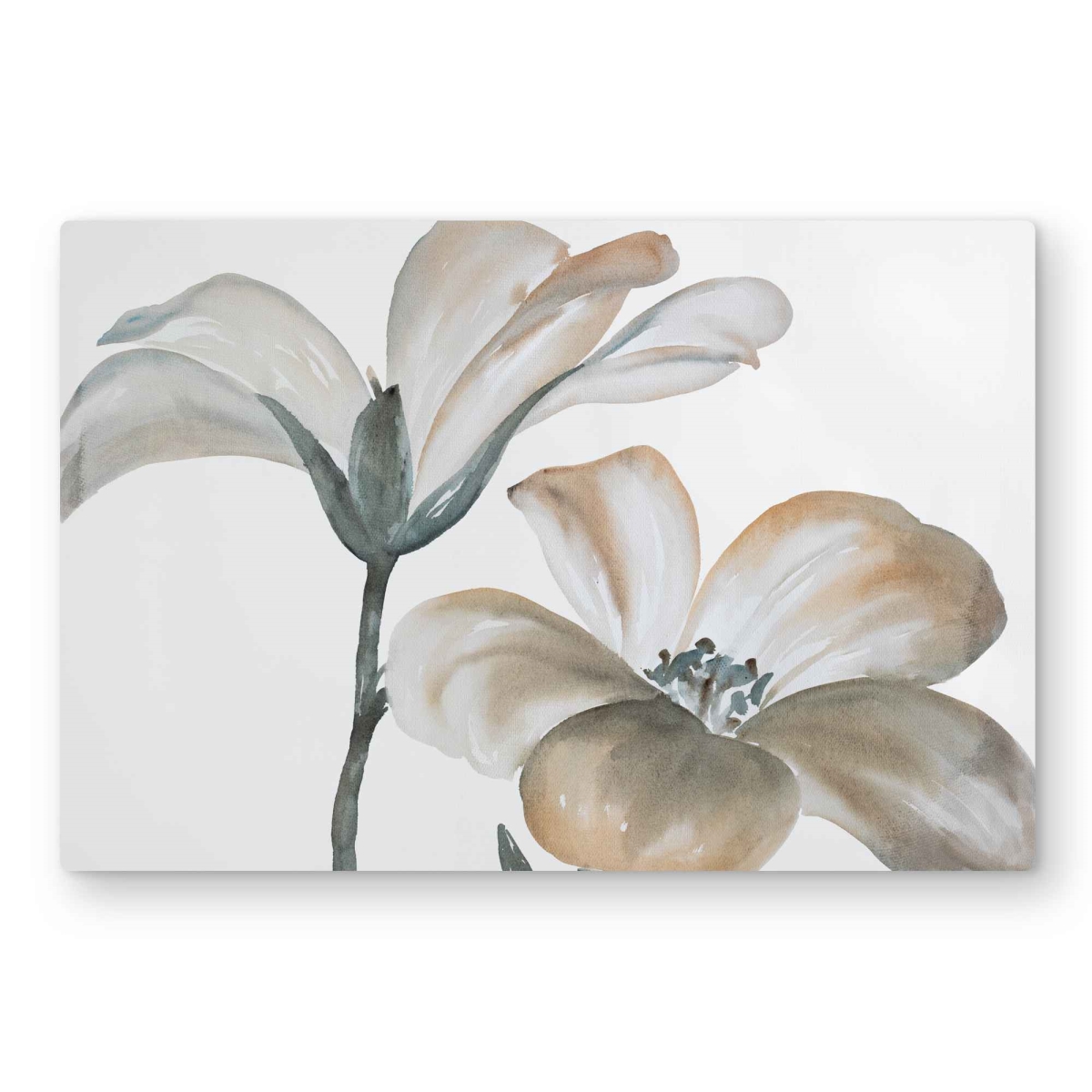 C1MP20306CWIU4 20 x 30 in. Beautiful Desaturated Flowers - Metal Print Wall Art for Living Room