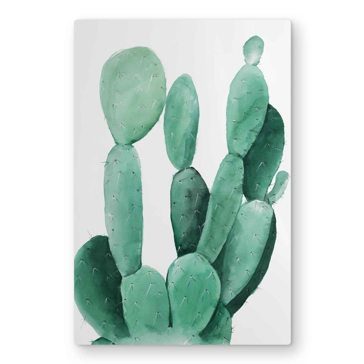 C1MP20306J1VCY 20 x 30 in. Watercolor Paddle Cactus Wall Art - Cactus Green Metal Print Decor