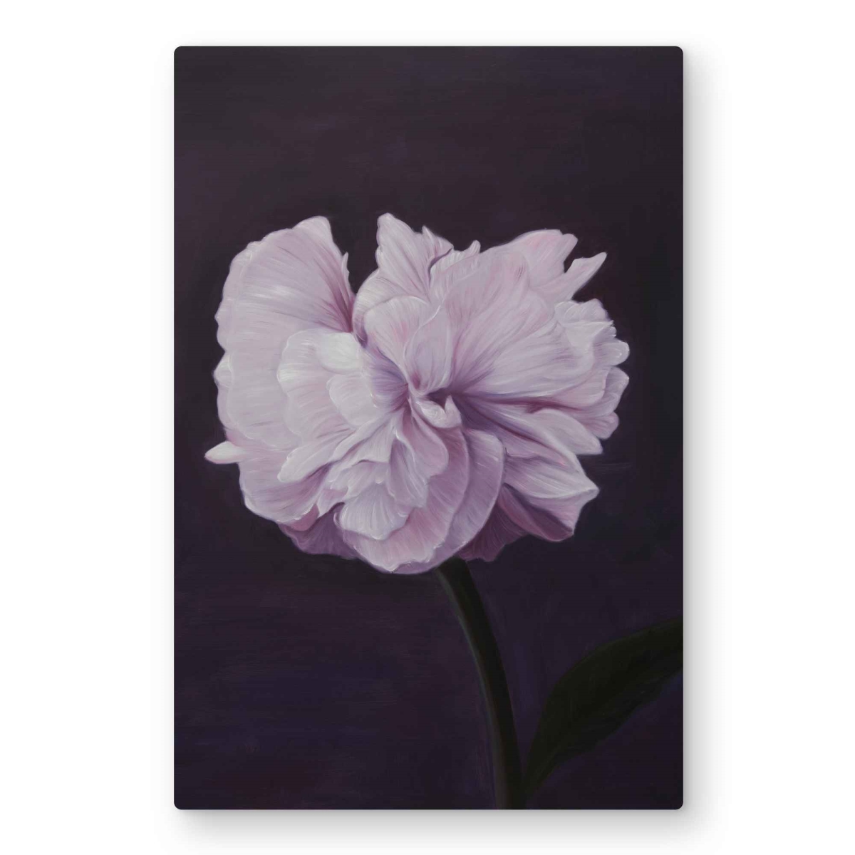 C1MP20308ILX04 20 x 30 in. Beautiful Purple Flower Wall Art - Hyperrealist Pink Metal Print