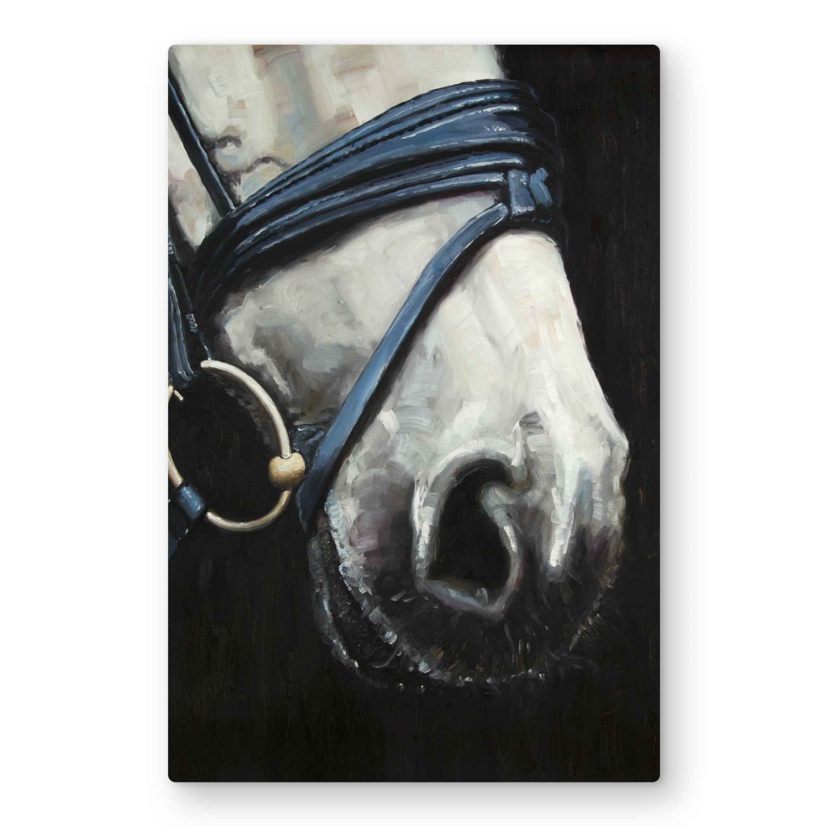 C1MP2030H3S6XA 20 x 30 in. Horse with Harness - Metal Print Wall Art for Home Decor - Animal Art