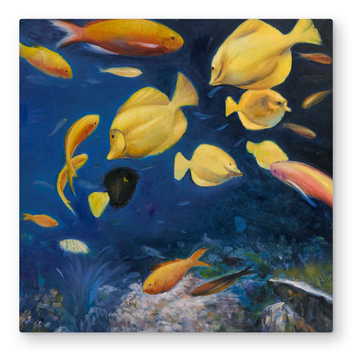 C1MP32323LZXHC 32 x 32 in. Fish Under the Sea - Marine Metal Print Wall Art for Home Decor