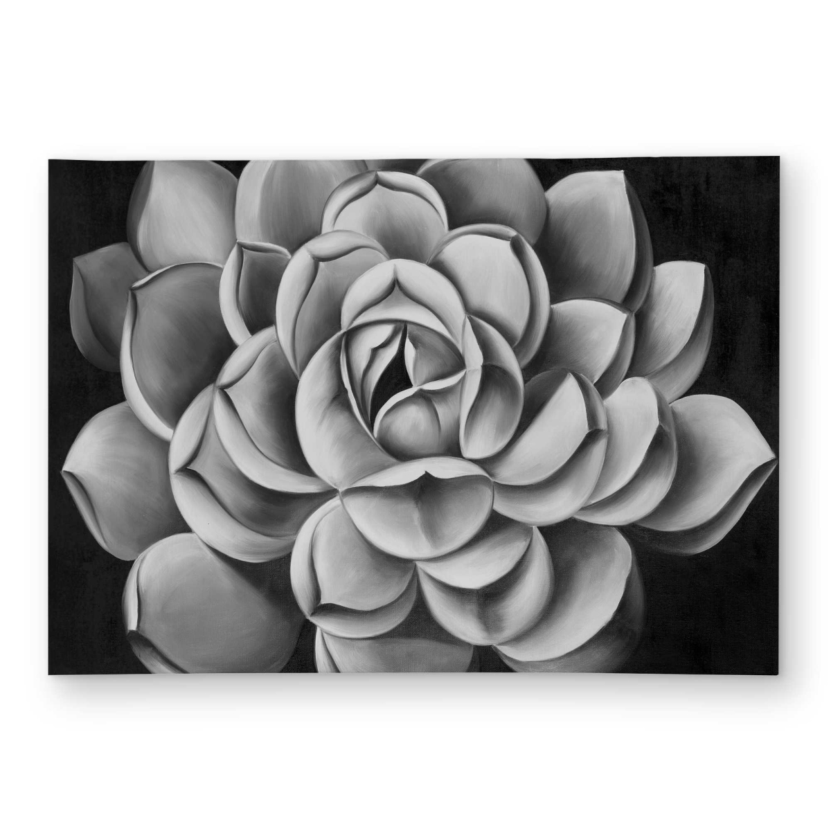 C1ROAR57FCO6SJ 5 x 7 ft. Black & White Succulent Rectangle Area Rug - Outdoor White Bedroom Decor