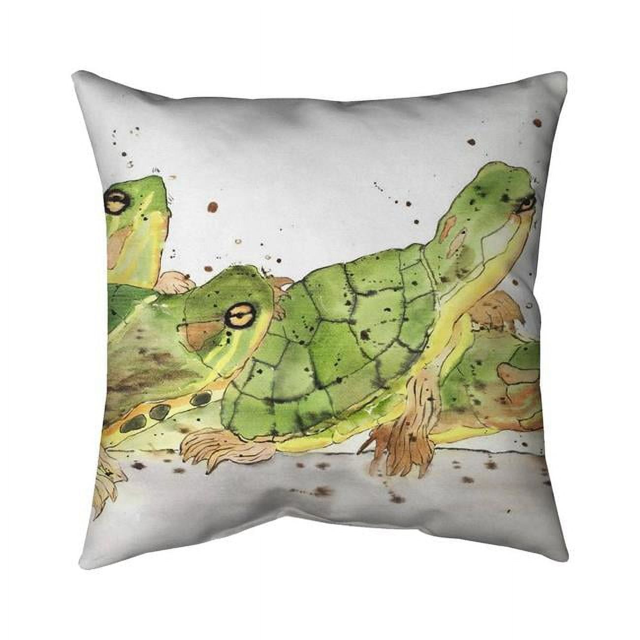 20 x 20 in. Small Aquatic Turtles-Double Sided Print Indoor Pillow