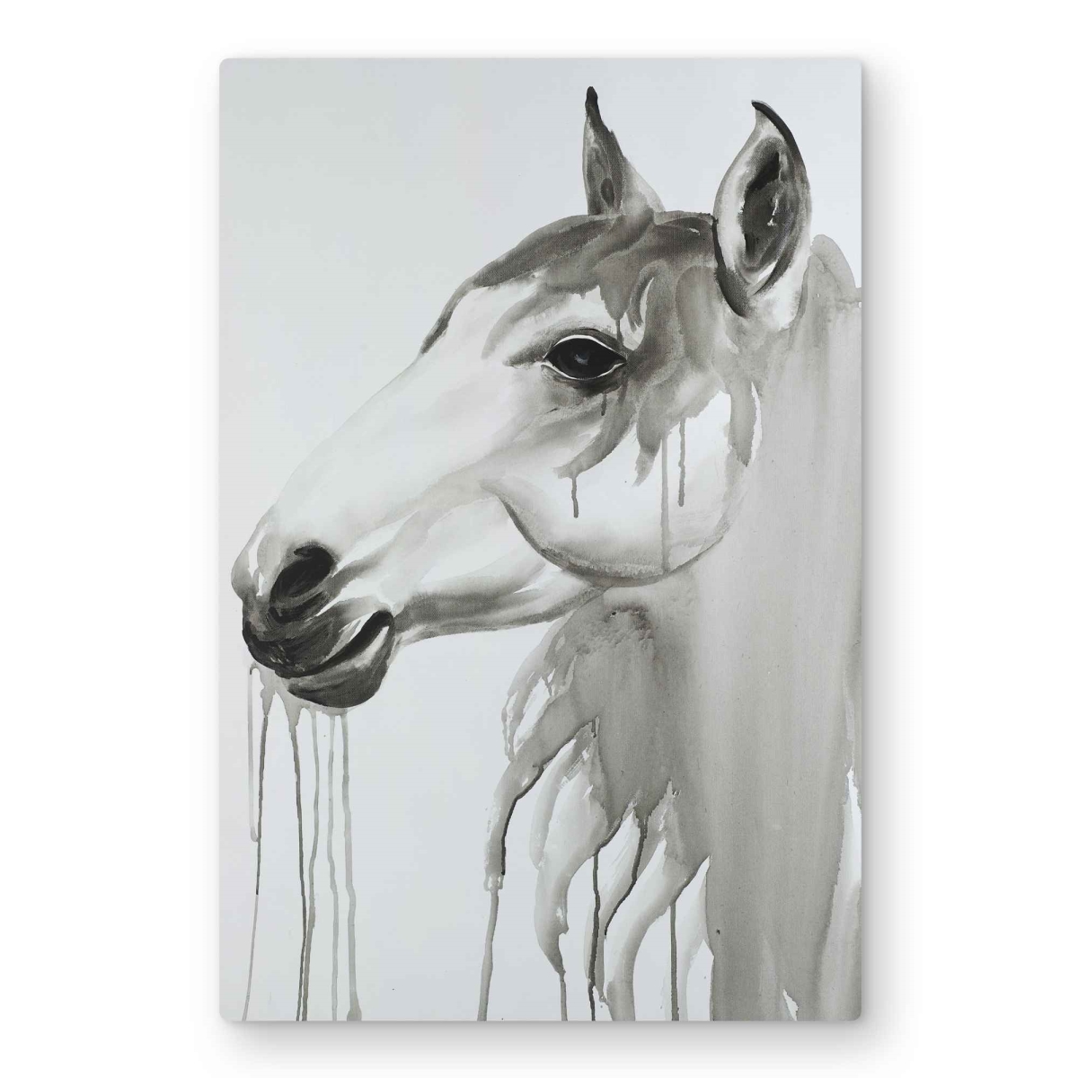 C1MP20302H35U0 20 x 30 in. Beautiful White Horse Metal Print Wall Art - Horse Bedroom Decor