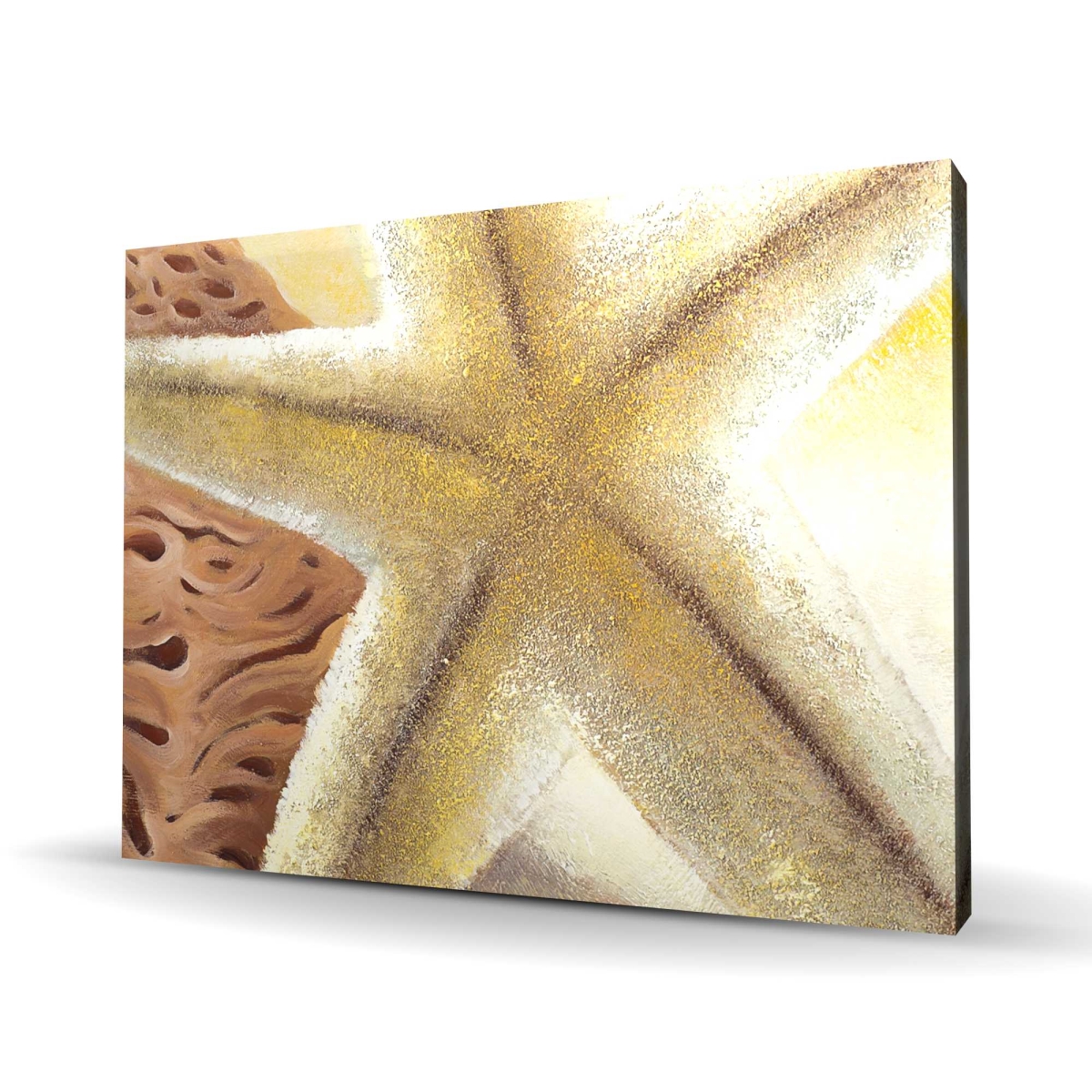 C1RC364806M0TW 36 x 48 in. Starfish & Seashells Beach Canvas - Sea Bathroom Decor