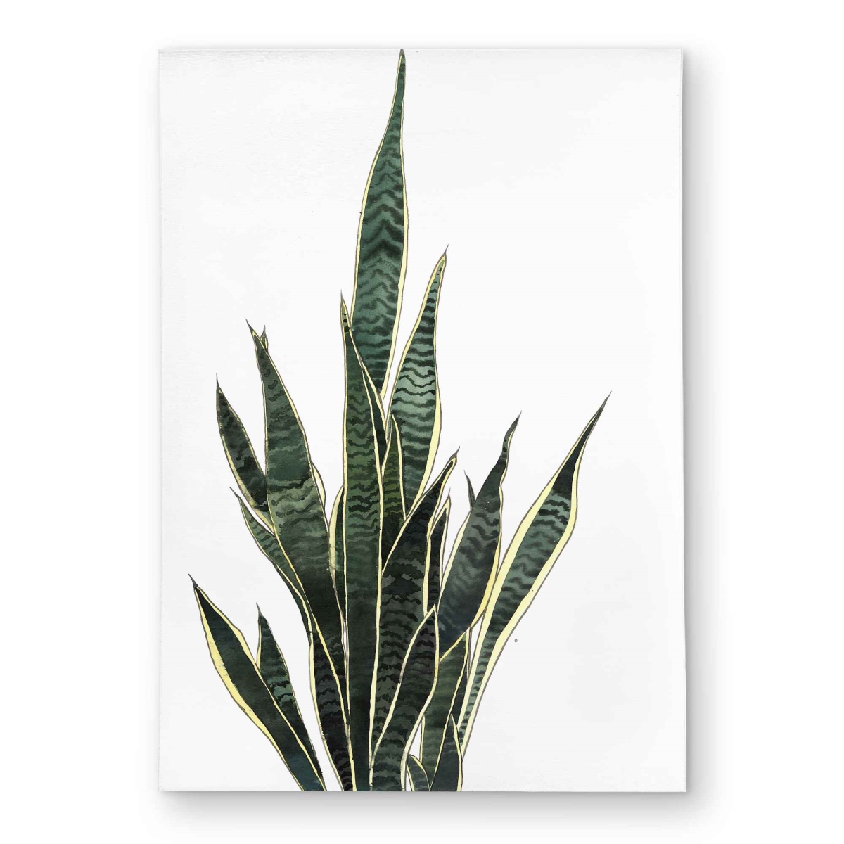 C1ROAR572FOW7F 5 x 7 ft. Snake Plant Green Kitchen Outdoor Rectangle Area Rug for Home Decor