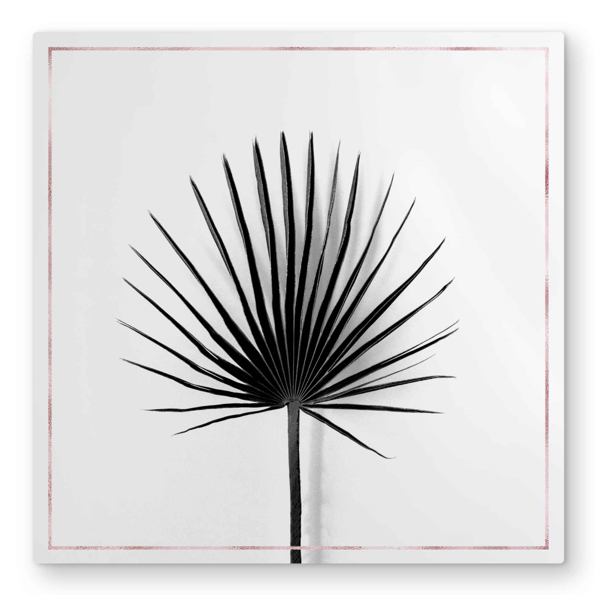 C1MP3232LTDV7H 32 x 32 in. Cabbage Palm Leaf with Rose Lines Wall Art - Botanical Metal Print