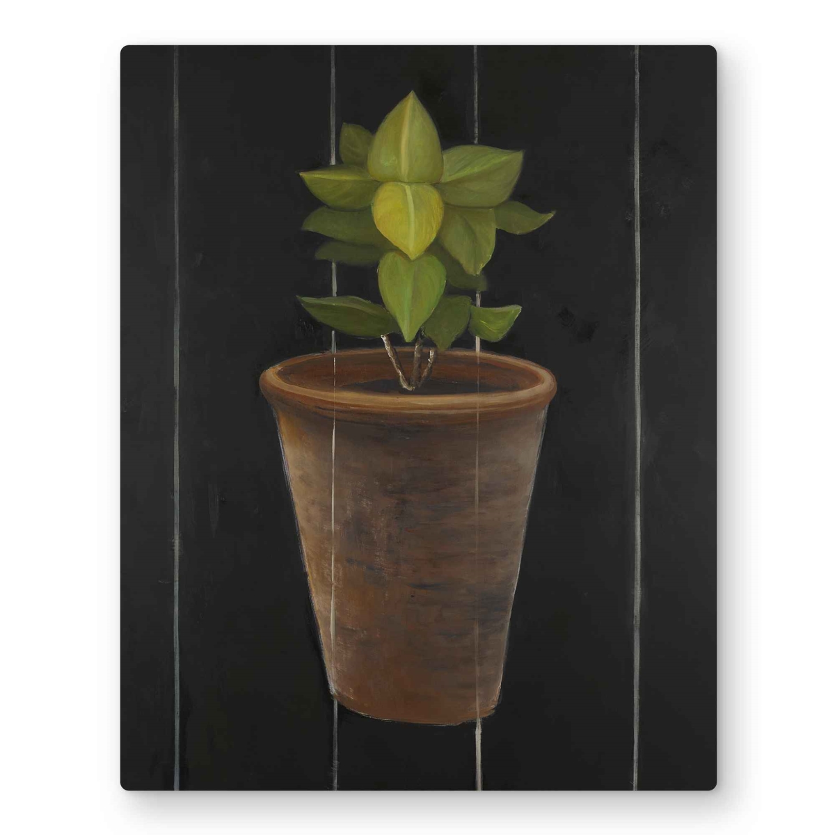 C1MP1620O1XVPX 16 x 20 in. Plant of Bay Leaves - Still Life Metal Print Wall Art - Home Decor