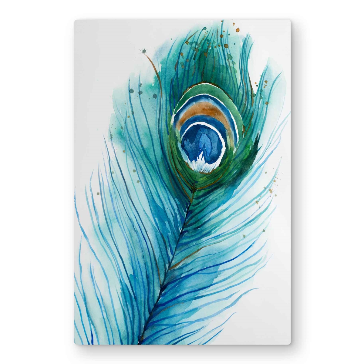 C1MP2030HZHHE0 20 x 30 in. Long Peacock Feather - Turquoise Animals Metal Print Wall Art - Decor