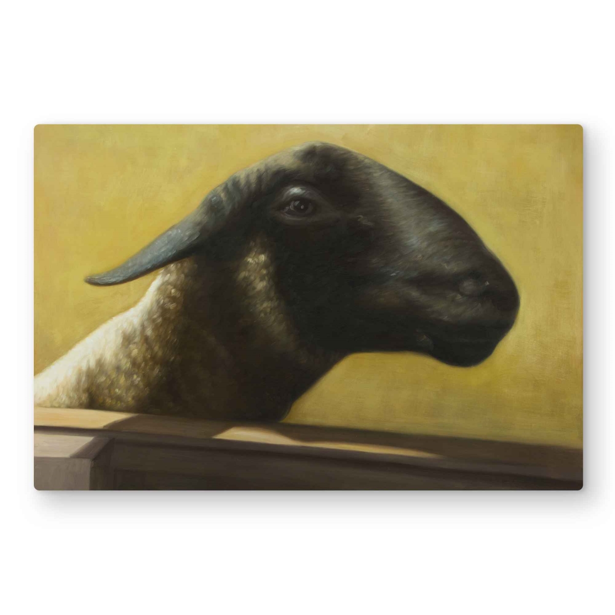 C1MP2030IJATGF 20 x 30 in. Young Ram - Livingroom Farmhouse Metal Print Wall Art for Home Decor