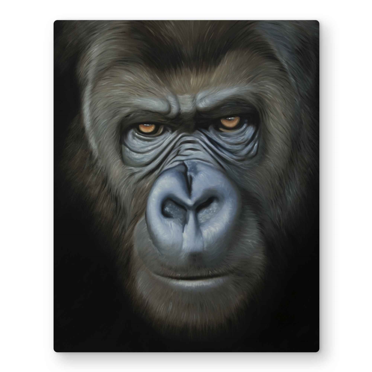 C1MP1620ENDUFE 16 x 20 in. Gorilla Face - Man Cave Animals Metal Print Wall Art for Home Decor