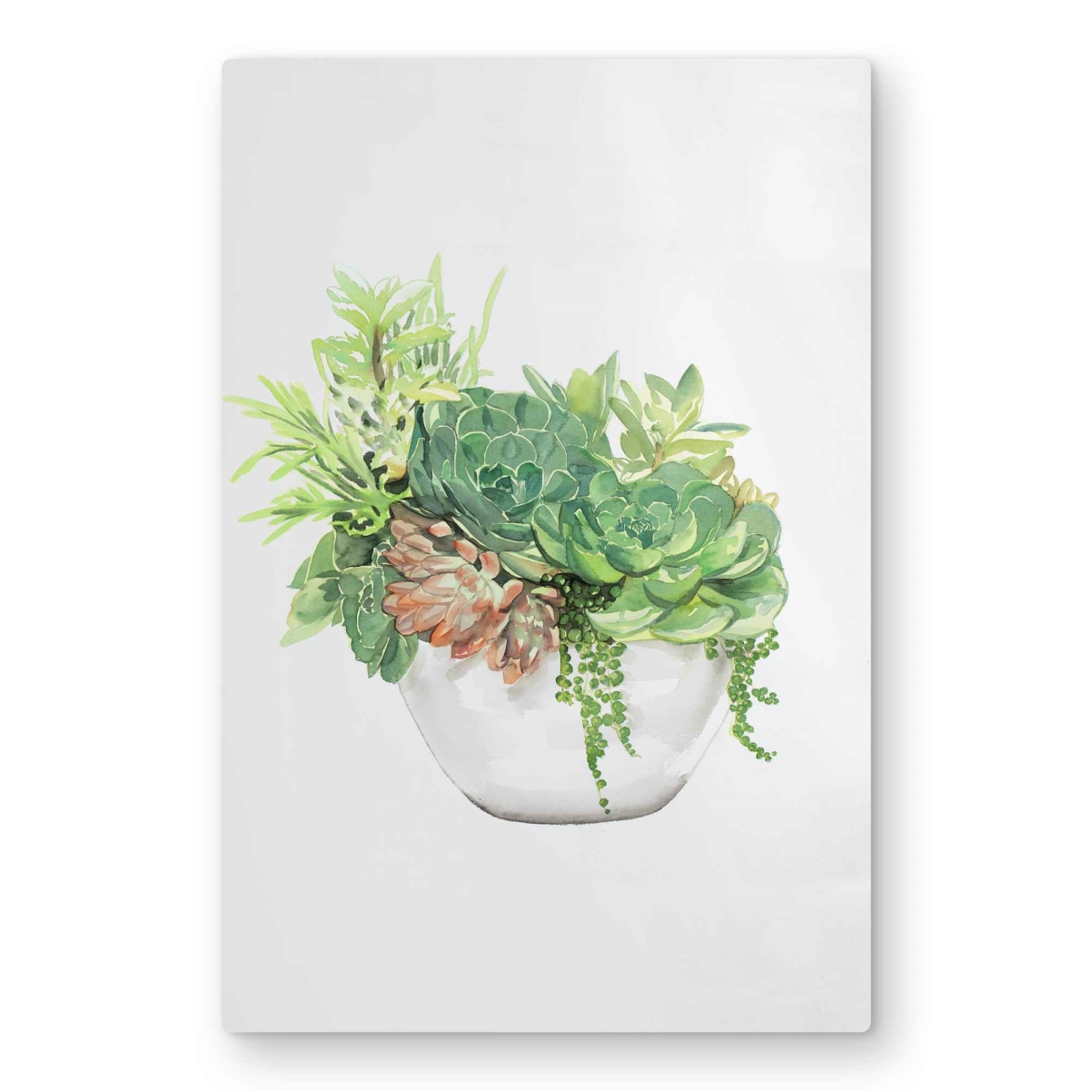C1MP2030MSI4B3 20 x 30 in. Succulent Assortment In A Pot Wall Art - Scandinavian Metal Print