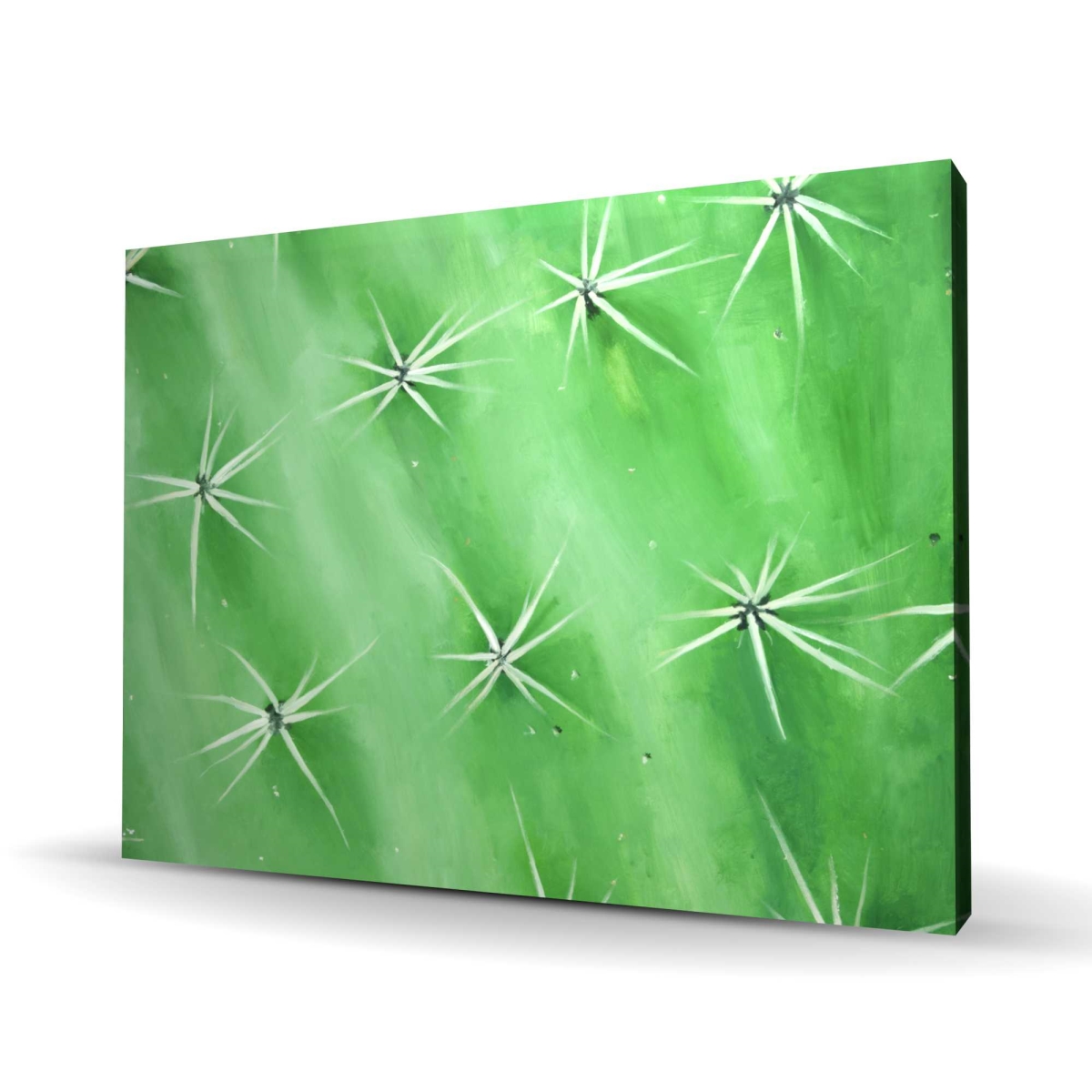 C1RC36485W99FE 36 x 48 in. Cactus Closeup - Cactus Office Canvas for Home Decor
