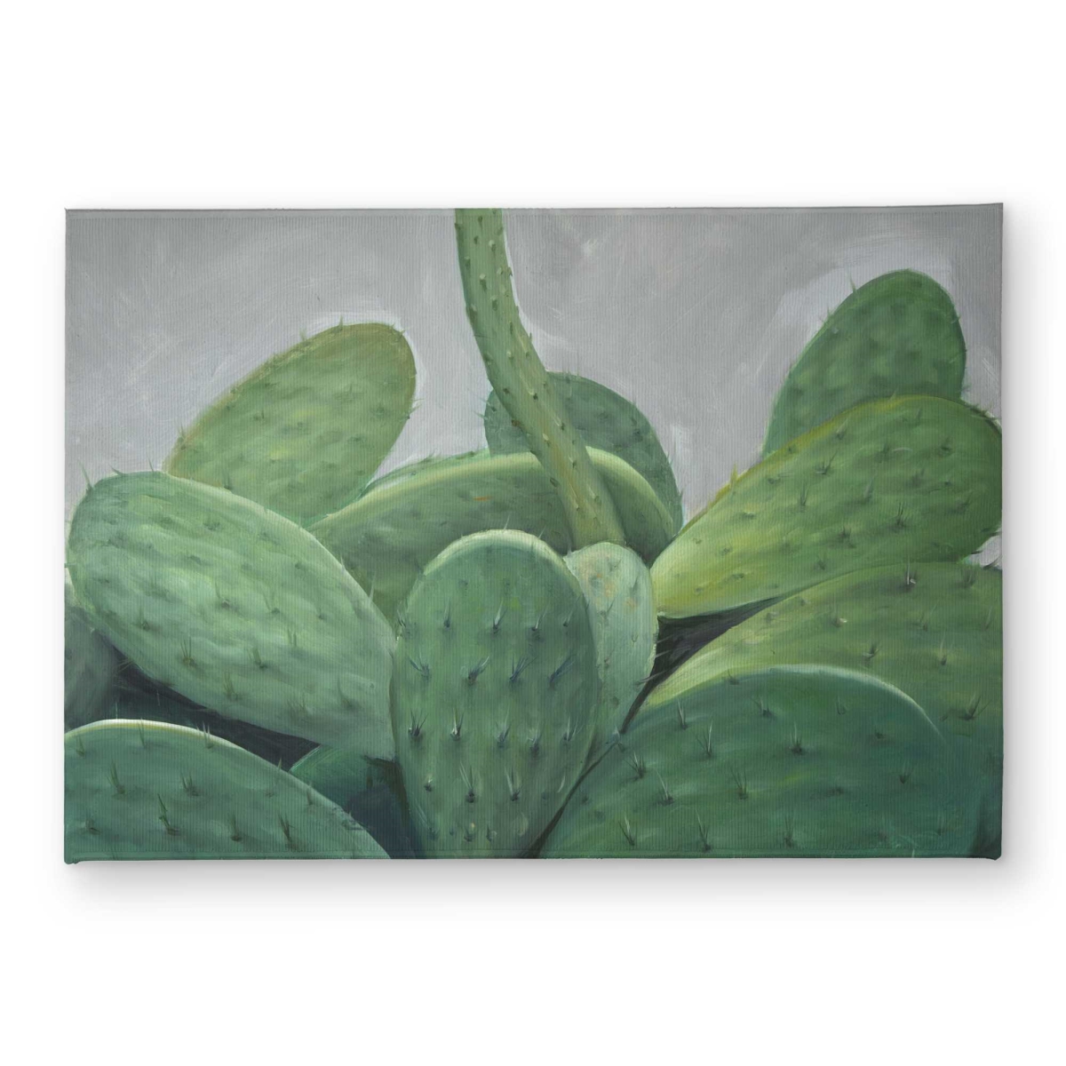 CODM17248A2FPH 17 x 24 in. Cactus Bundle - Exotic Botanical Indoor & Outdoor Door Mat