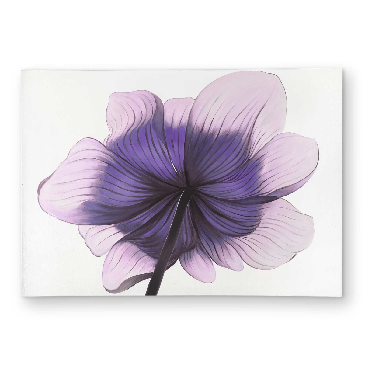 C1ROAR57QO4AVM 5 x 7 ft. Beautiful Anemone Purple Flower Rectangle Area Rug - Bedroom Decor Outdoor