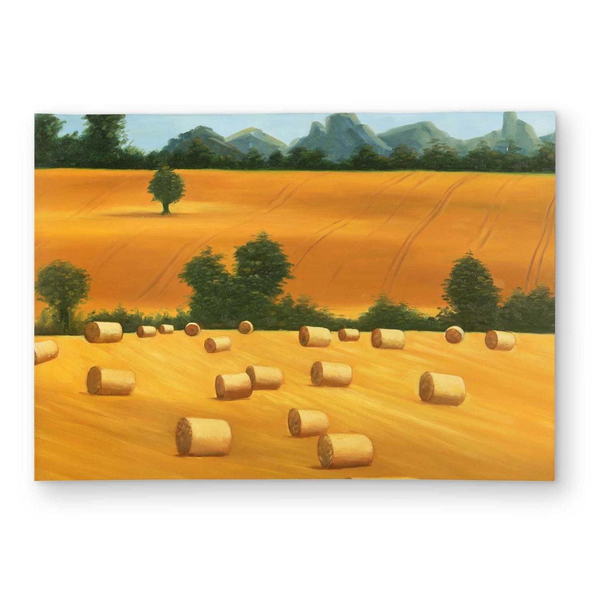 C1ROAR57QQ2W9T 5 x 7 ft. Hay Bale Fields Outdoor Rectangle Area Rug - Western Mountains Decor
