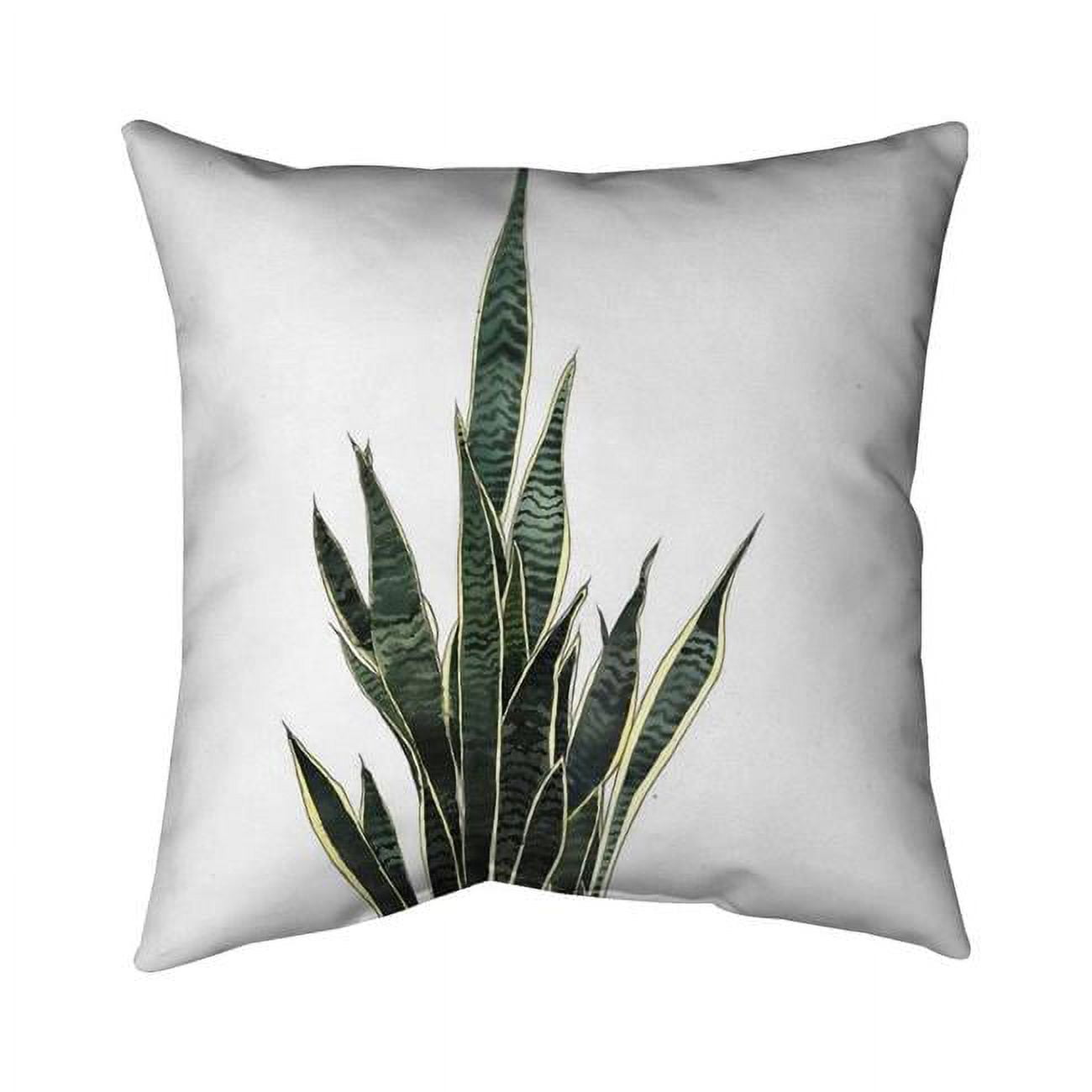 20 x 20 in. Snake Plant-Double Sided Print Indoor Pillow