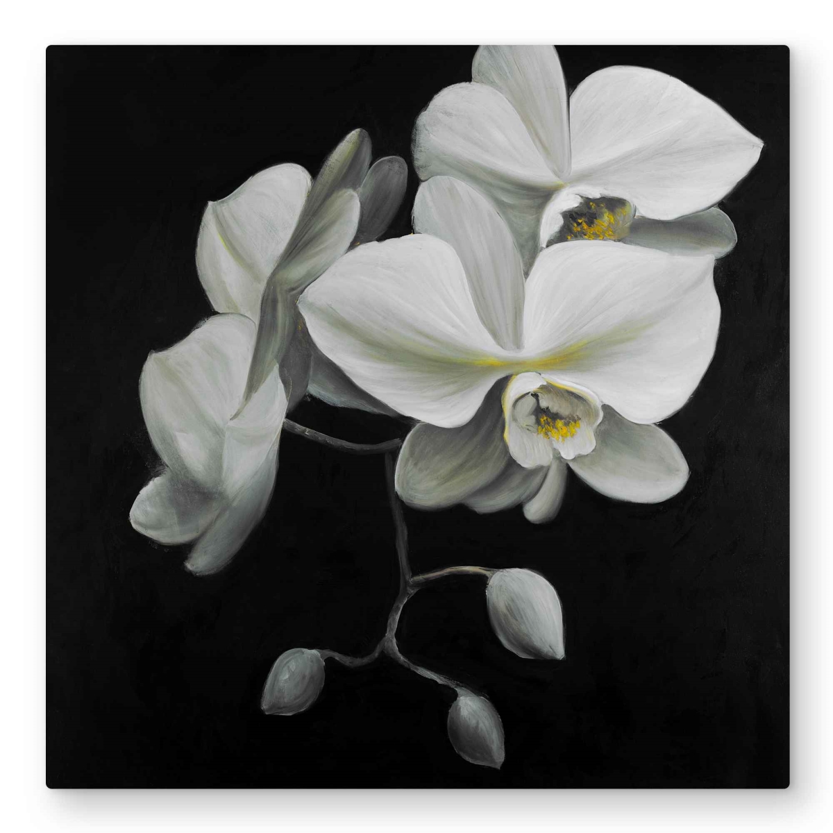 C1MP3232U5DFK2 32 x 32 in. White Orchids - Floral Black Metal Print Wall Art for Home Decor