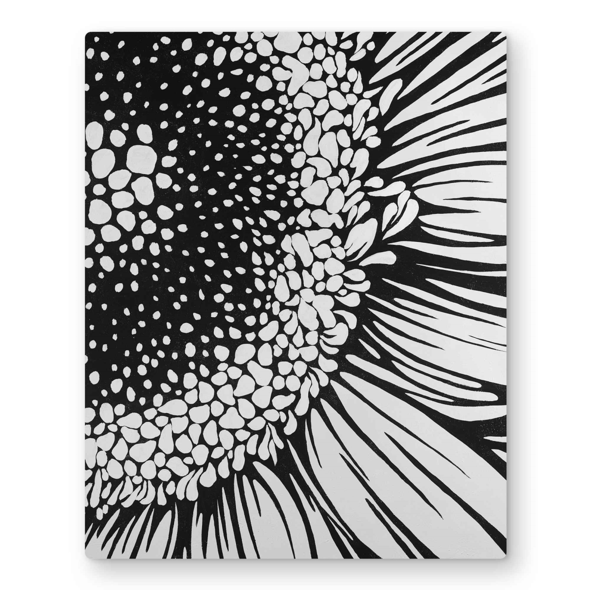 C1MP1620U5C0EZ 16 x 20 in. Gerbera Flower Black Metal Print Wall Art - Floral Home Decor Art