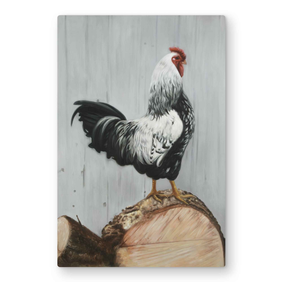 C1MP2030C096K3 20 x 30 in. Wyandotte Rooster Metal Print Wall Art - Unique Decor Feather Art
