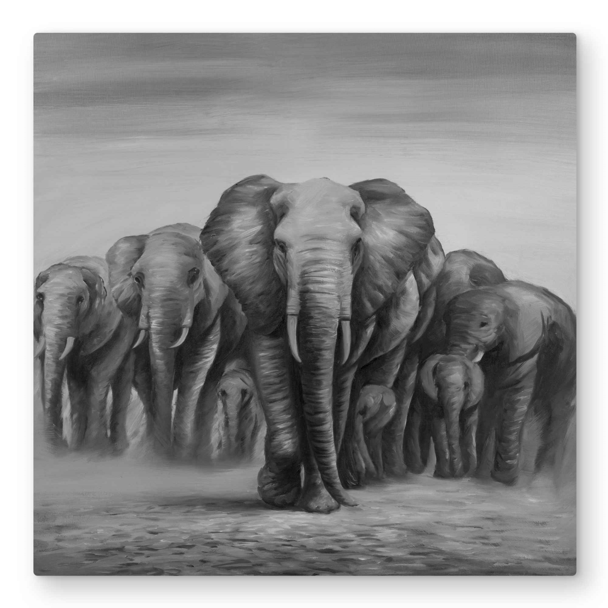 C1MP32324D7M7H 32 x 32 in. Herd of Elephants Metal Print Wall Art - Unique Home Decor Art