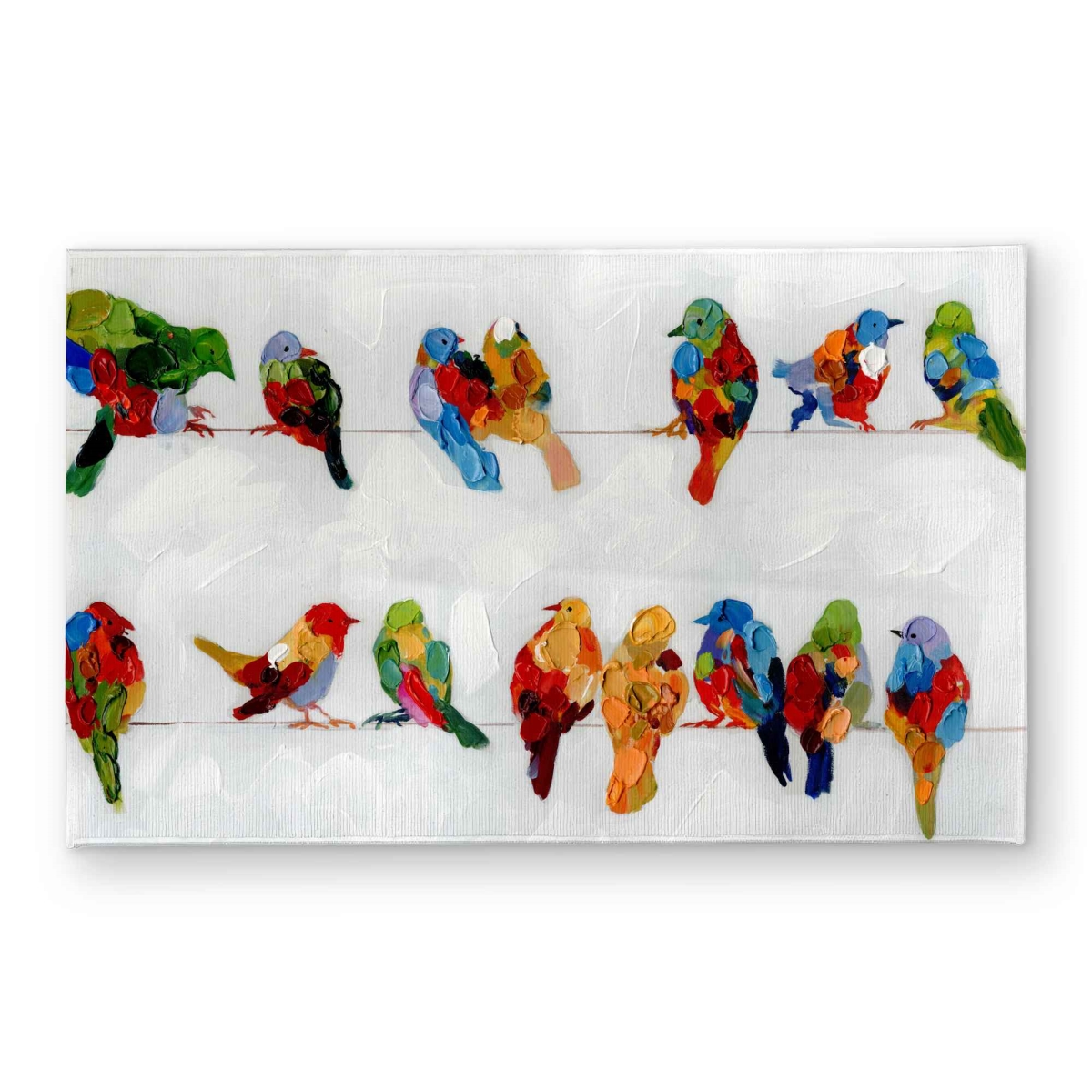 CODM213436BDFW 21 x 34 in. Colorful Birds on a Wire Door Mat - Animals Home Decor